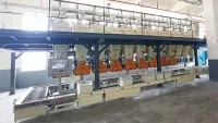 Multi-Station Automatic Small Chemicals Weighing System
